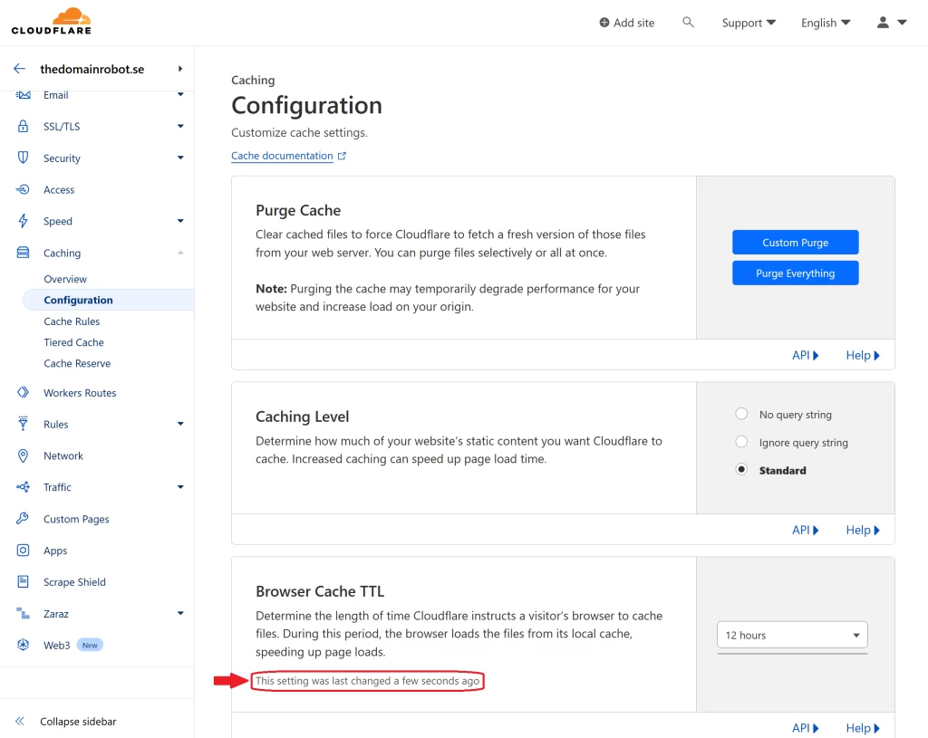 Step 6 - Cloudflare browser TTL is now changed