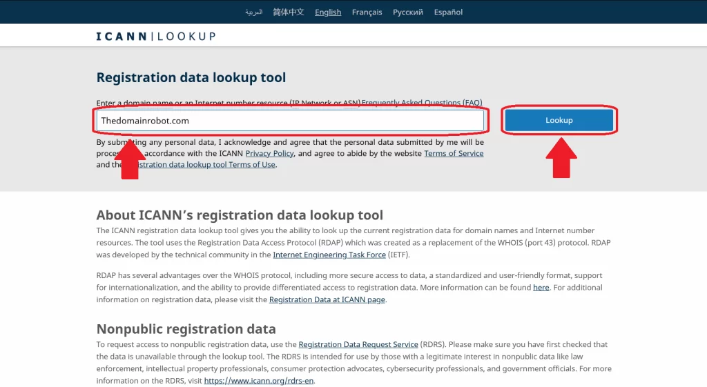 Step 2 - Input the Domain Name