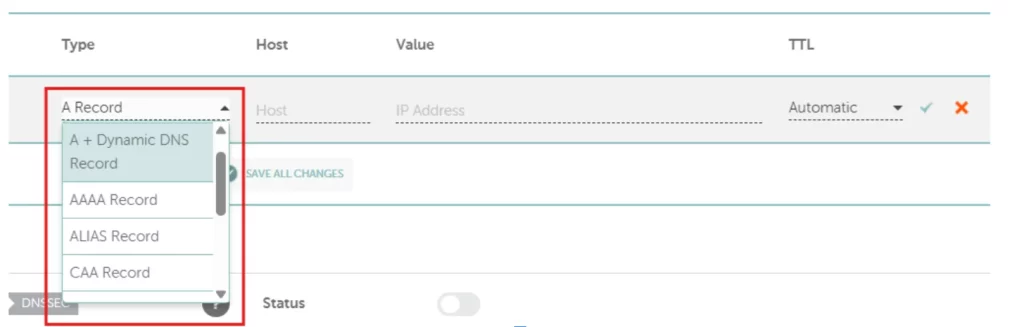 Step 7 - Chose your DNS record type